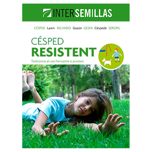 Semillas De Cesped Resistent Caja De 1 Kg._0