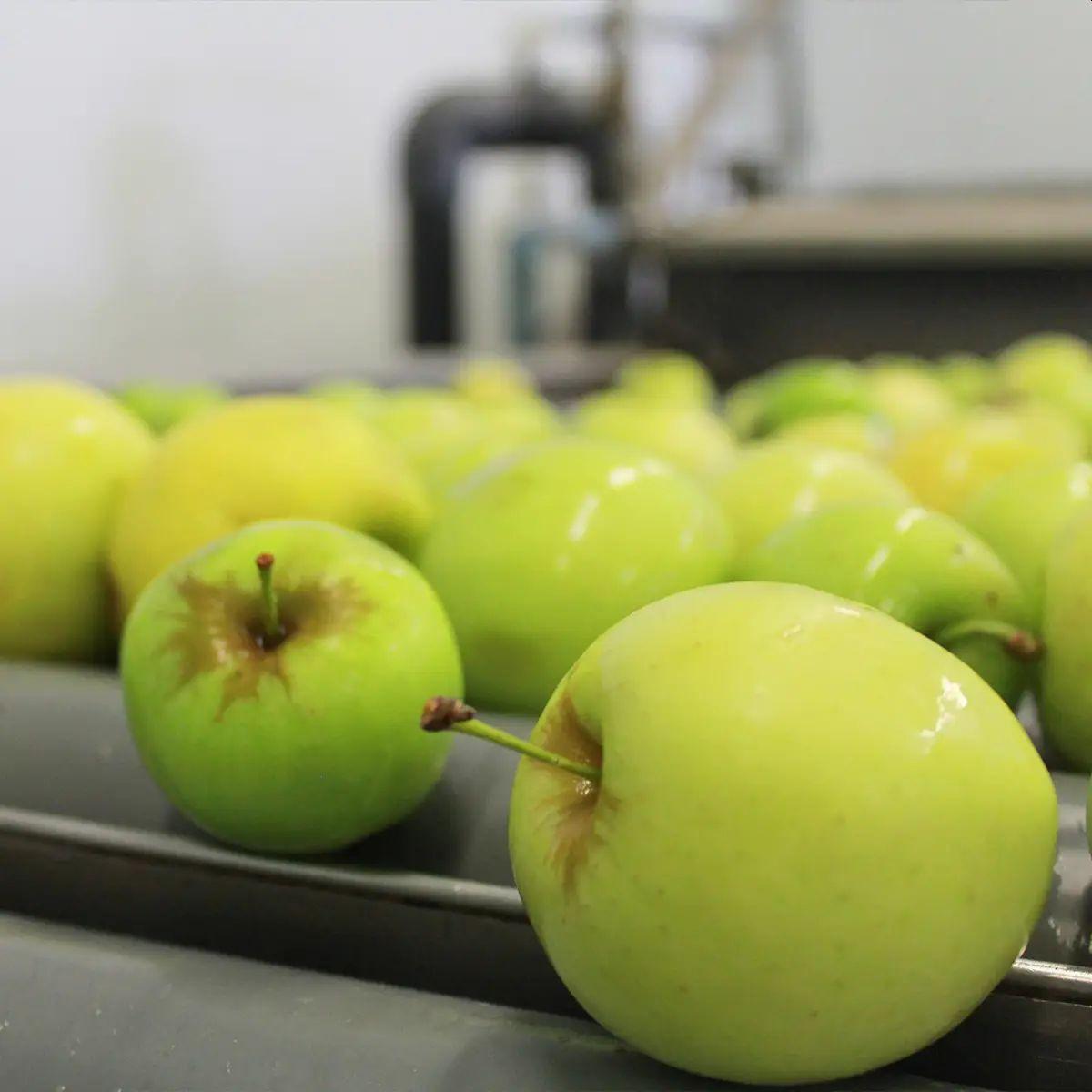 Elaborado de Manzana y Kiwi Ecológica sin azúcares añadidos Ékolo 700 g