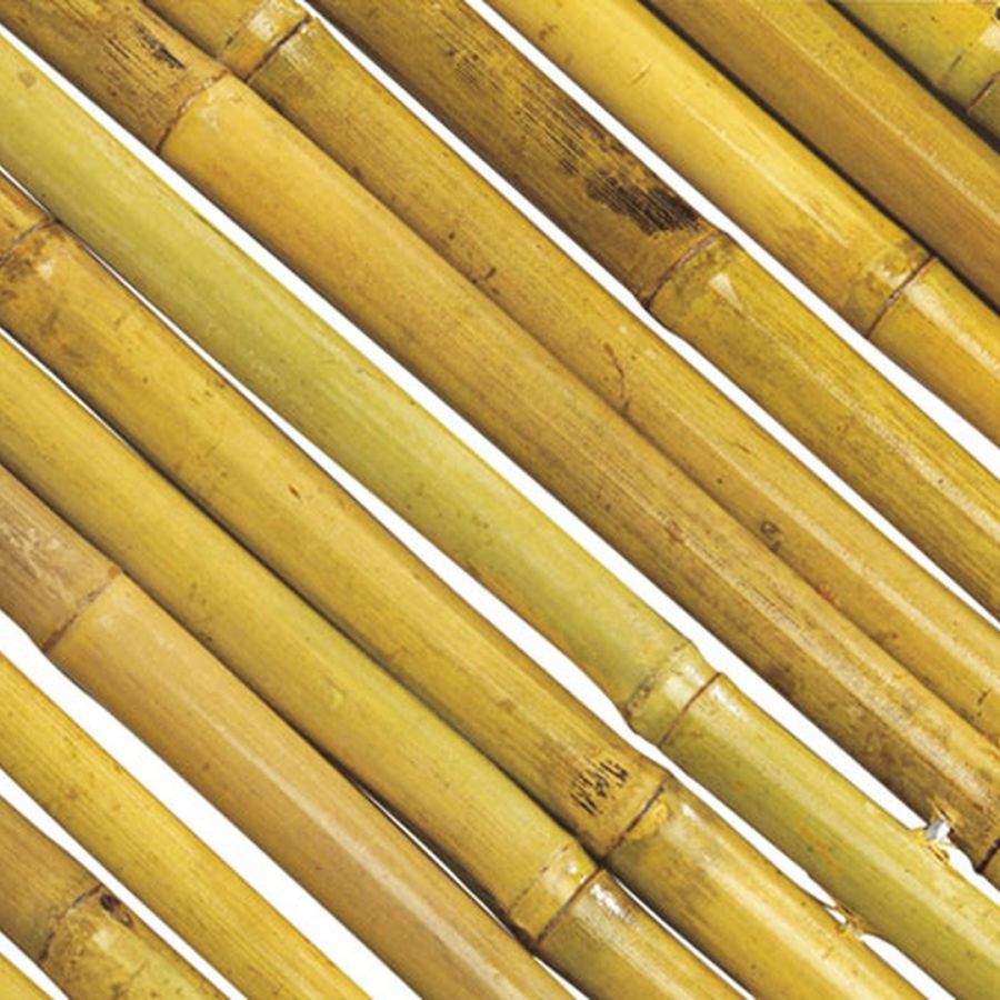 Cañizo Entero Barnizado Bambooflex 2x3 M Nortene_2