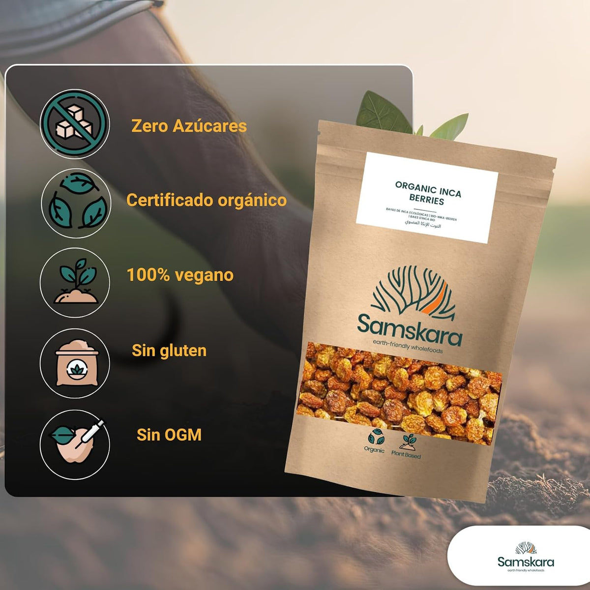 Bayas De Inca Bio - 1kg (2 X 500g Envases Retail) | Fruta Deshidratada Ecológica, Snack Vegano Natural_4