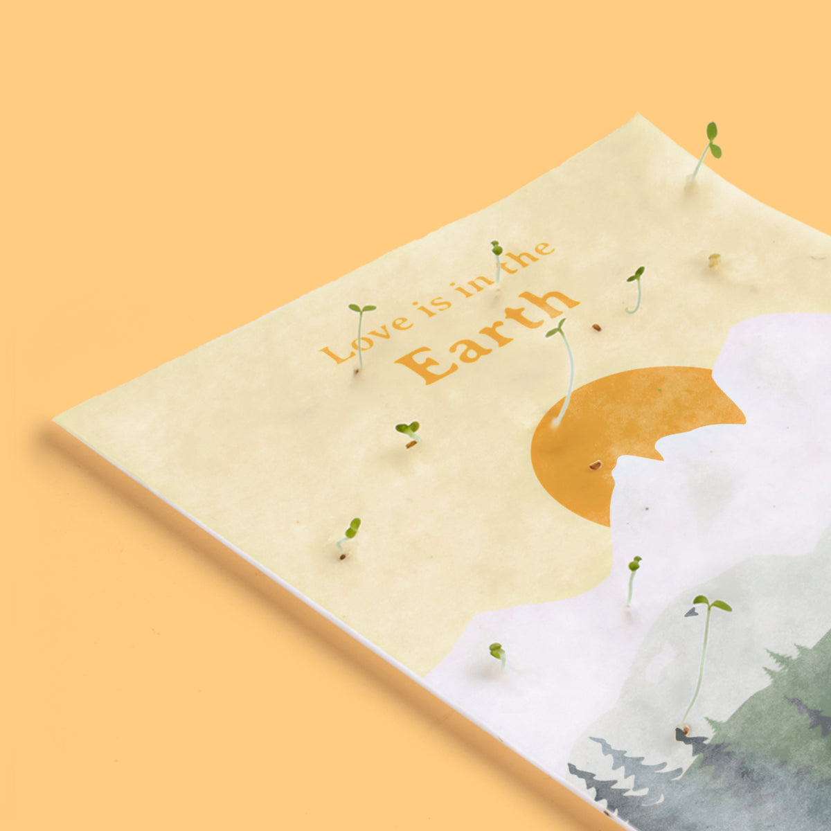 Postal Plantable "Love Is In The Earth" con Semillas de Manzanilla – Regalo Romántico - Resetea_2