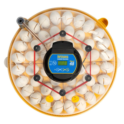 Incubadora Brinsea Maxi 48 Advance - Incubadora Para Huevos De Diferentes Especies De Ave - Con Volteo Automático_3