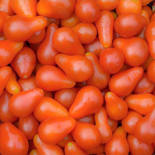 Semillas Tomate Red Pear Ecológicas_0