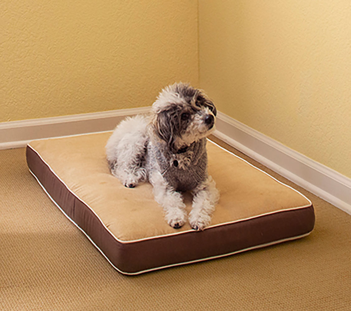 Cama Para Perros Y Gatos- Fácil De Lavar - 3 Tamaños Diferentes En Función Del Tamaño Del Perro_1