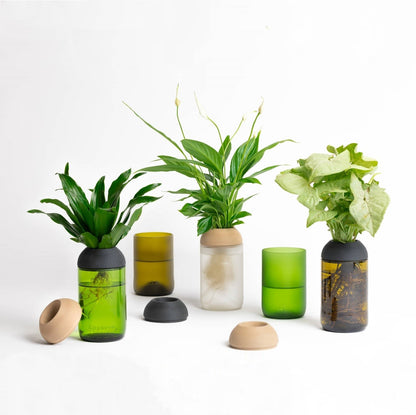 Macetero Transparente Citysens Con Soporte De Ébano – Ámbar, Vidrio Reutilizado Y Biofilamento Con Madera Impreso En 3d_3