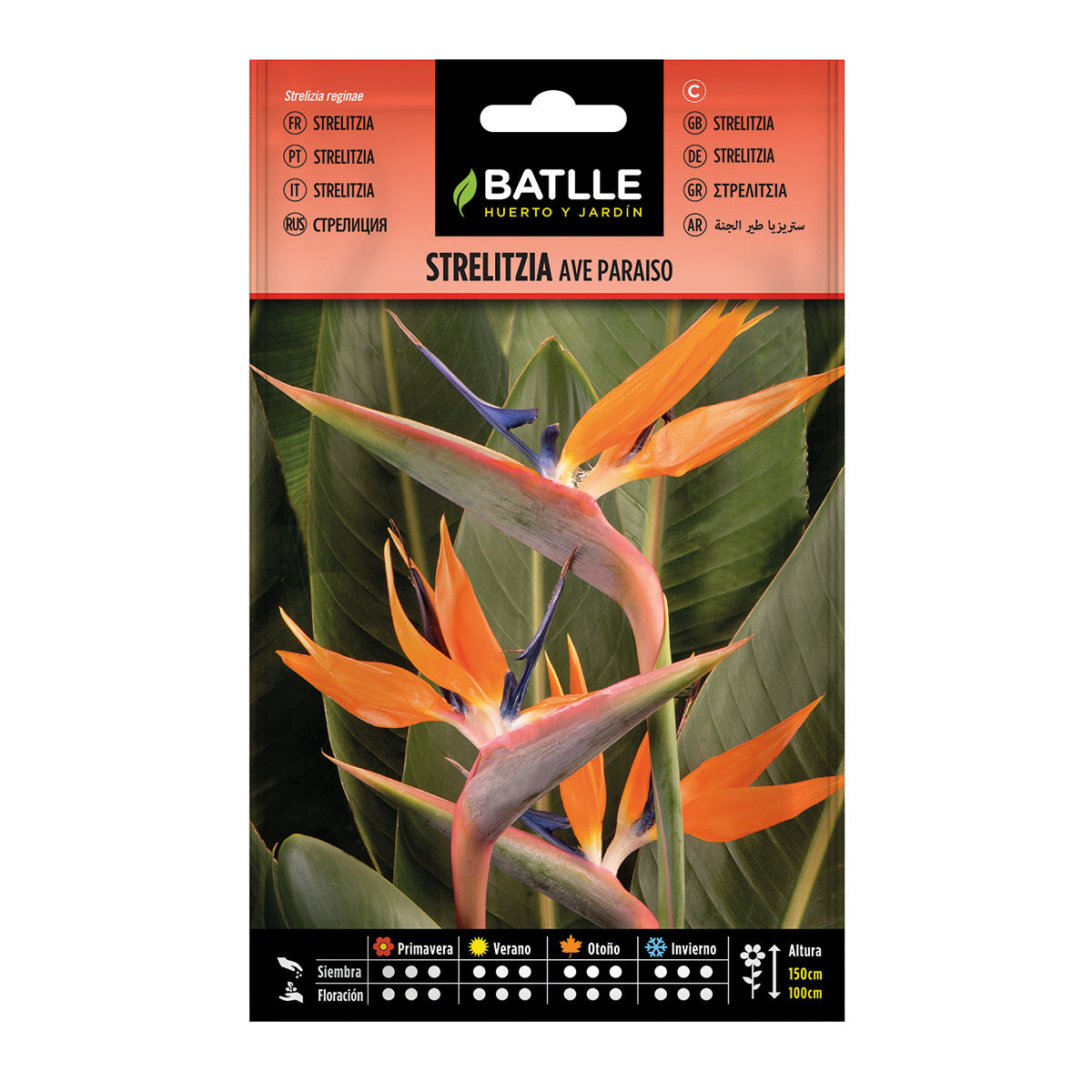Semillas de Strelitzia Ave del paraíso Batlle