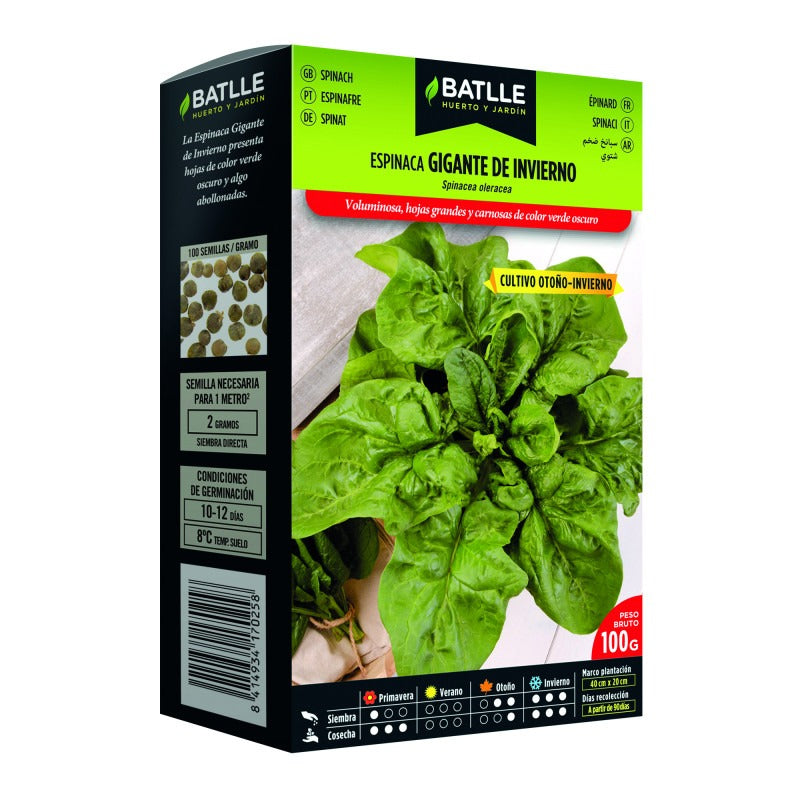 Semillas de Espinaca Gigante de Invierno 100 g Batlle