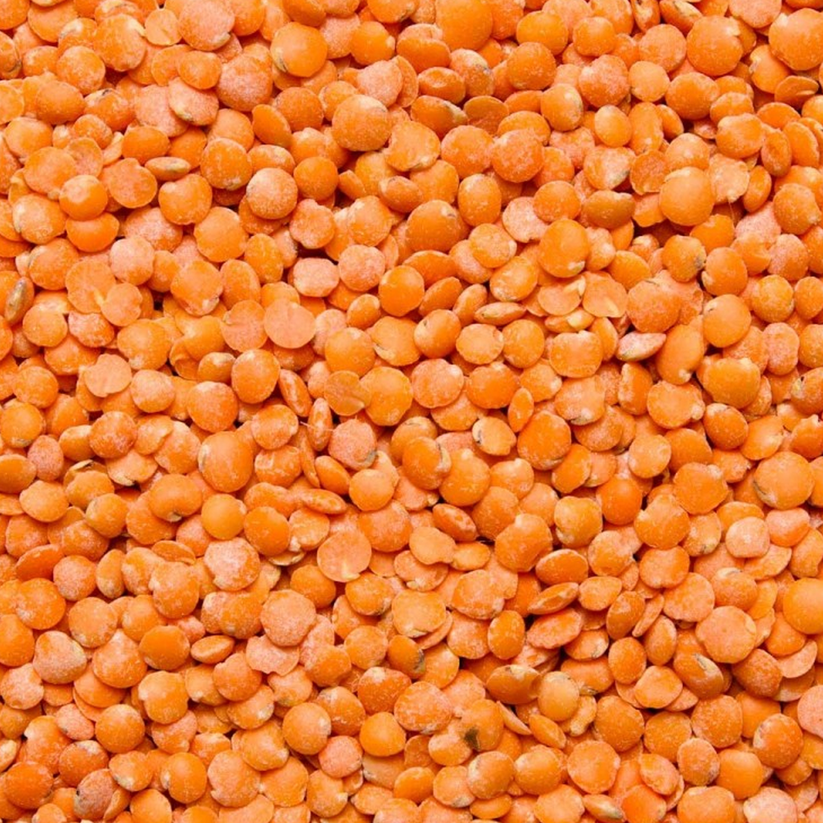 Lentejas Rojas Eco 500gr_2
