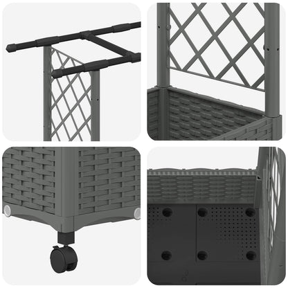 Cama Elevada Con Trellis Y Techo Gris Claro 203 X 40 X 127 Cm_5