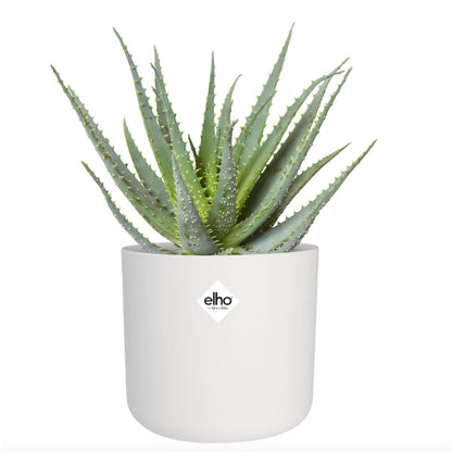 Macetero B.for Soft Round Elho Blanco 25 cm