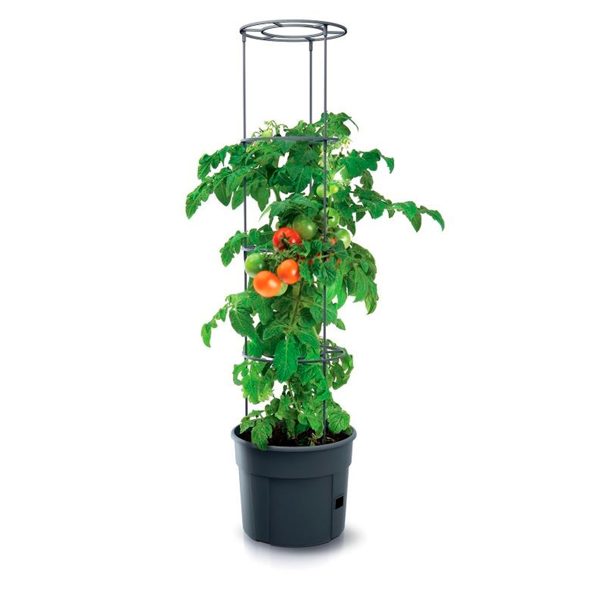 Macetas Grow 2 Para Tomates Ø39,2cm Antracita, Riego Directo A Raíces 28l_2