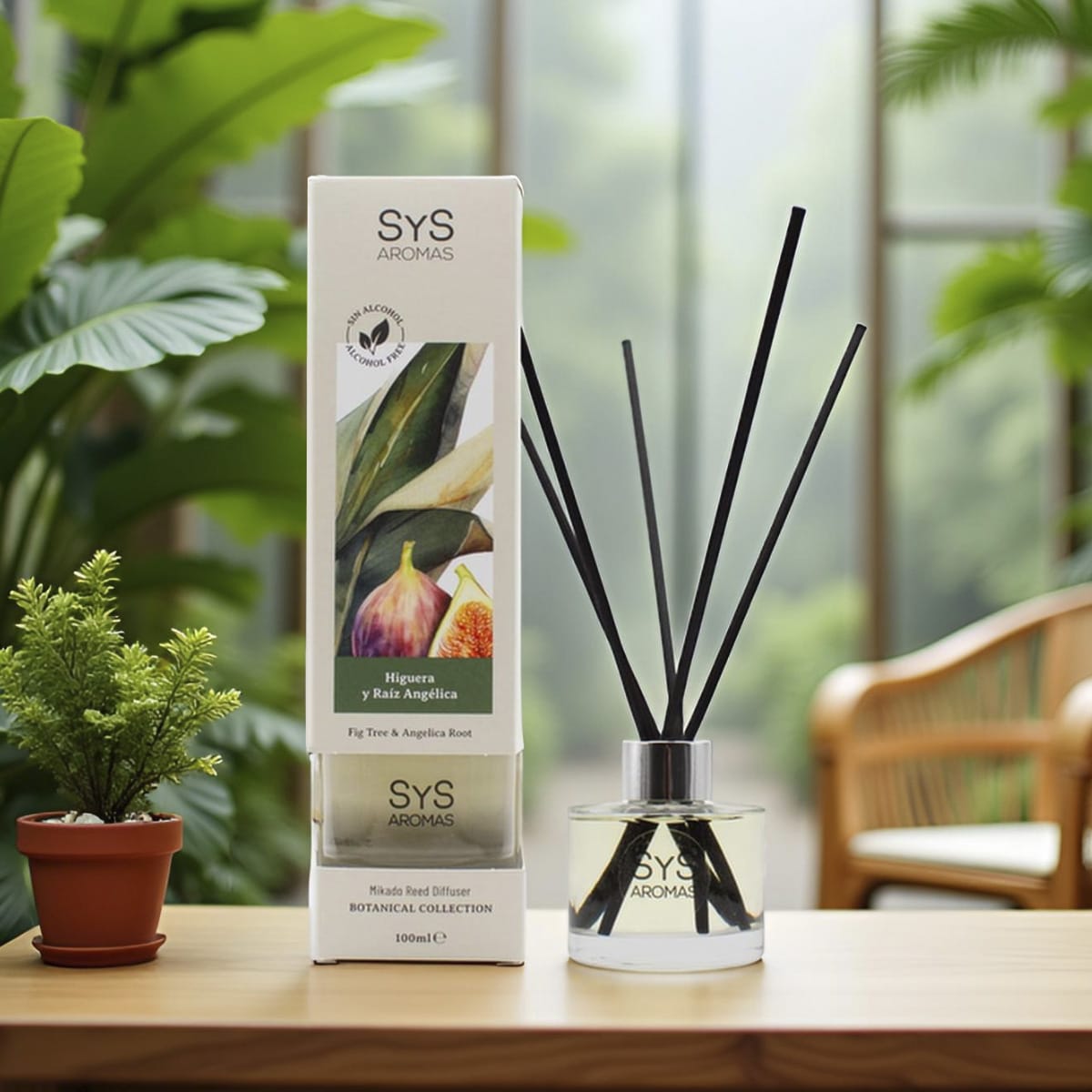 Ambientador Mikado Higuera y Raíz Angélica Botanical SYS Aromas 100 ml | Herbal y Afrutado | Sin Alcohol_1
