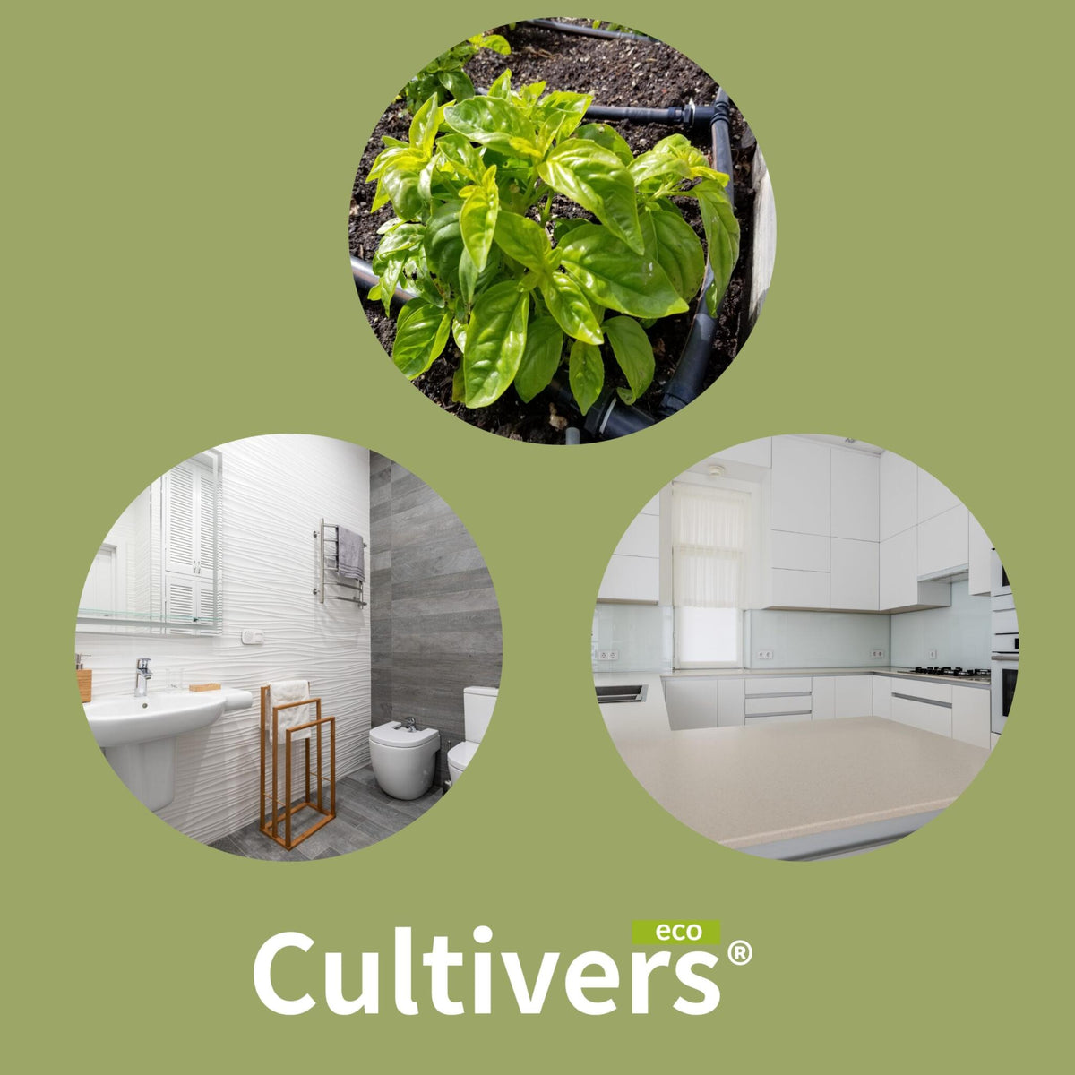 Cultivers Ácido Cítrico Anhidro 100% Puro 1 Kg | Limpiador Multiusos Ecológico | Corrector De Ph Para Agricultura Y…_2