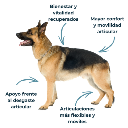 Condroprotector para perros y gatos – Movilidad y articulaciones – 100 g_4