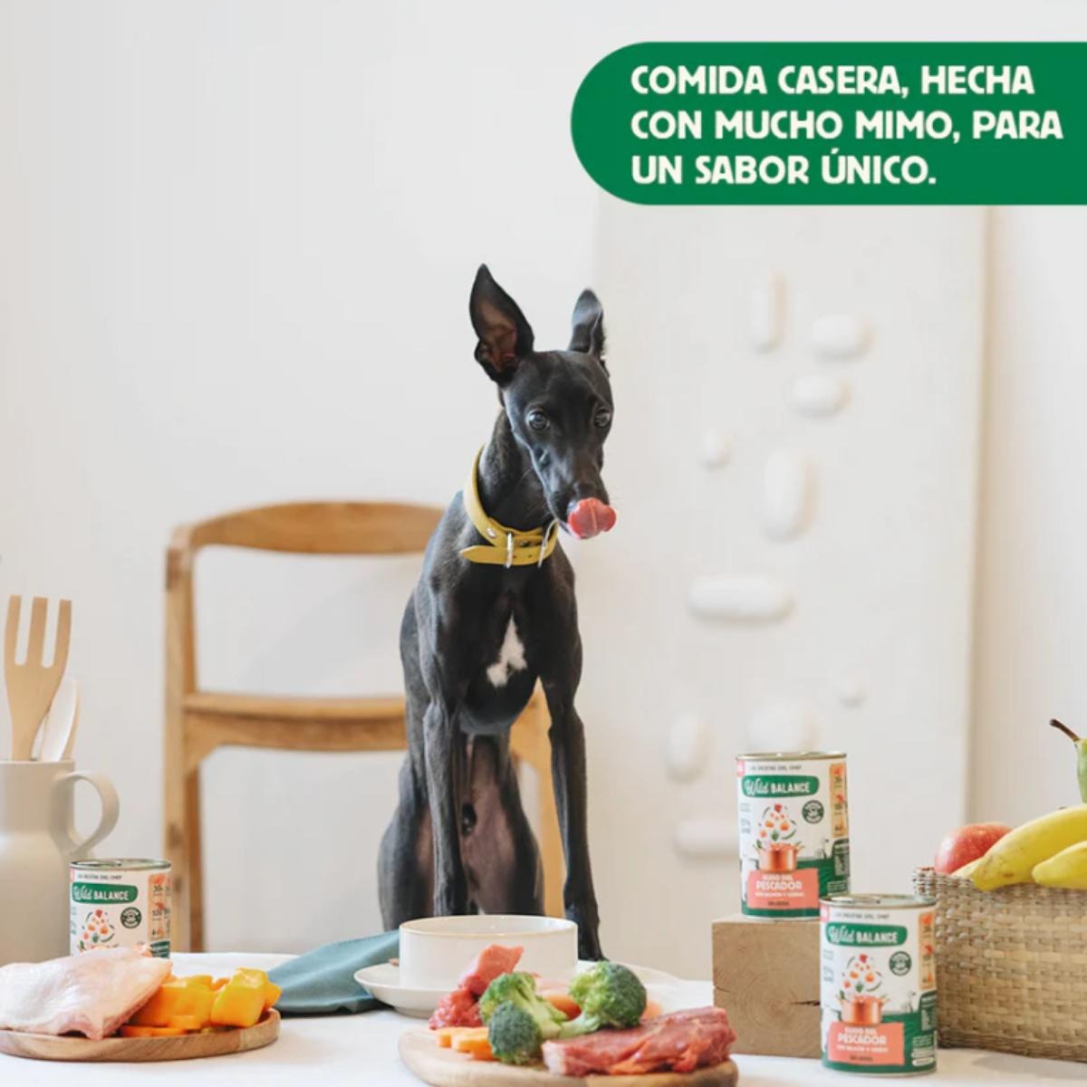 Pack 6X Guiso del pescador salmón y cerdo para perros Wild Balance 400 g