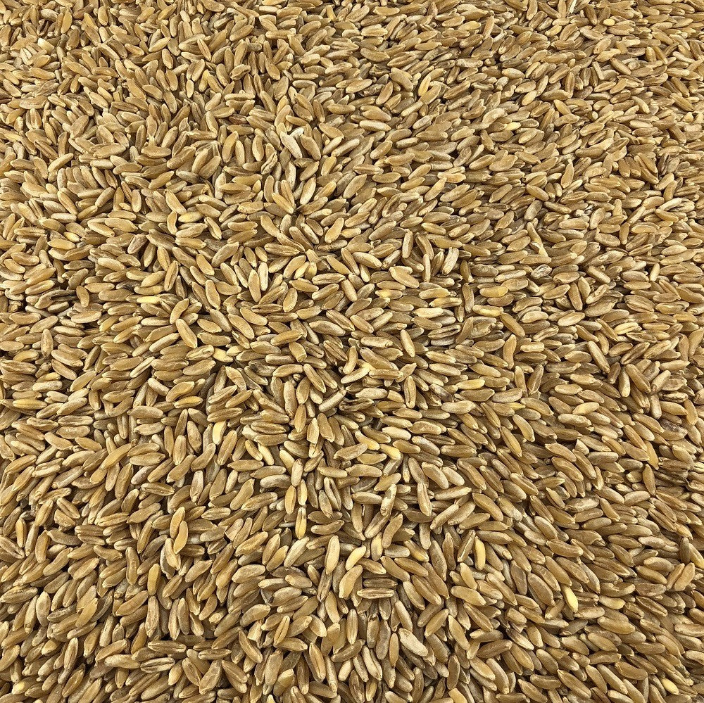 Trigo Antiguo Ecológico A Granel 5 Kg_2