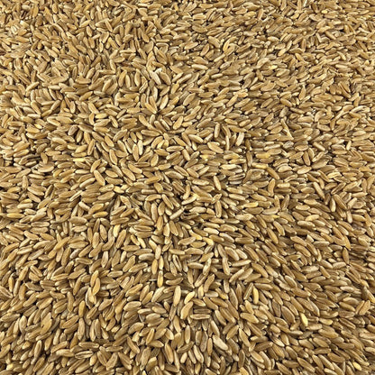 Trigo Antiguo Ecológico A Granel 5 Kg_2