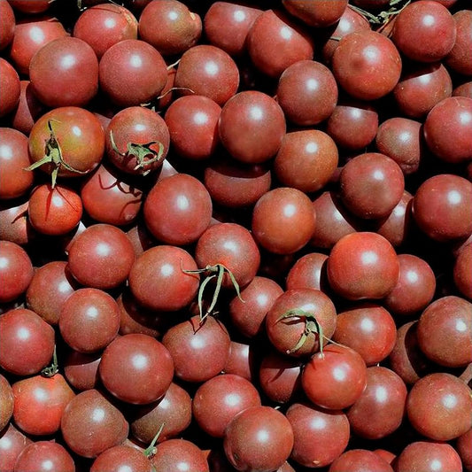 Semillas Tomate Black Cherry Ecológicas_0