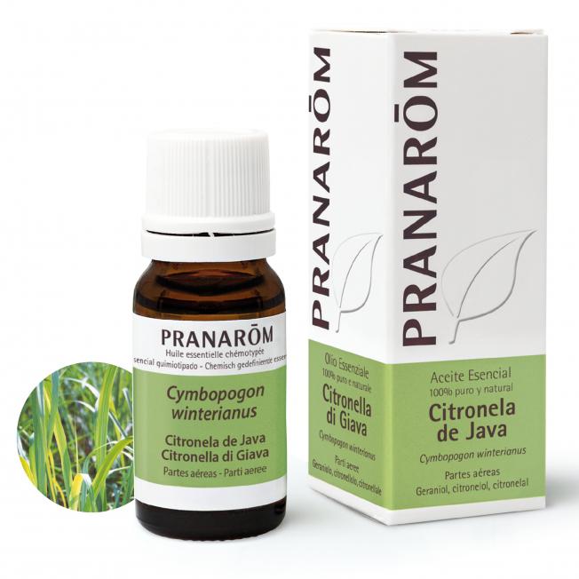 Aceite esencial Citronela de java Pranarôm 10 ml