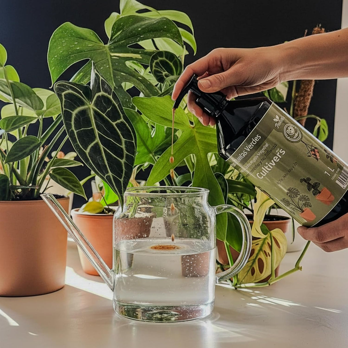 Cultivers Abono Plantas Verdes Líquido 500 Ml Para Interior Y Exterior Npk 3-4-4 Con Aminoácidos Y Ácidos Fúlvicos |…_1