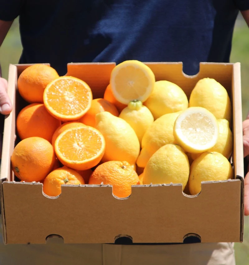Mix Naranjas Y Limones Valencianos De Temporada Tropitop 4kg_1