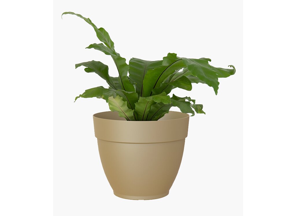Artevasi Macetero Verde Plástico Campana Capri 25cm_1