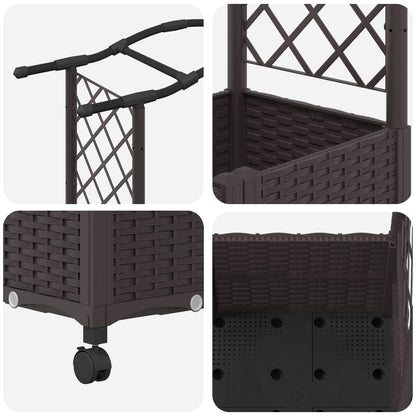 Cama Elevada Con Trellis Y Techo Marrón 125 X 40 X 144 Cm Pp_5