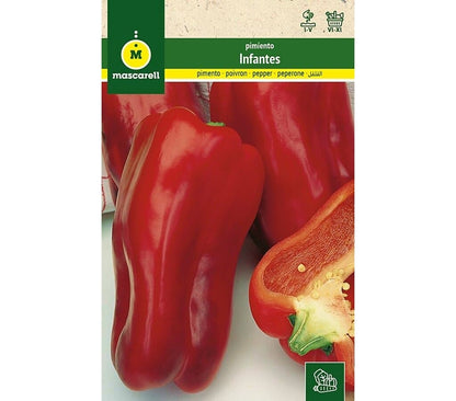 Semillas Pimiento Manchego (infantes)_0