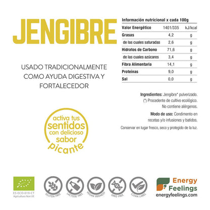 Jengibre ECO en polvo Energy Feelings 1 kg