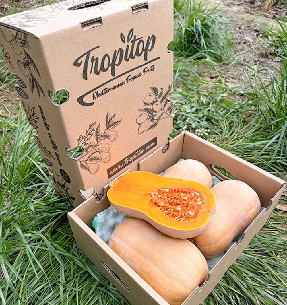 Caja De Calabaza Cacahuete De Temporada Tropitop 4kg_5