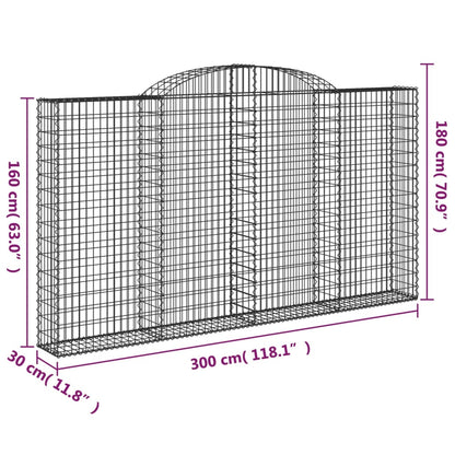 Cestas De Gaviones 5 Uds Forma De Arco Hierro 300x30x160/180 Cm_5