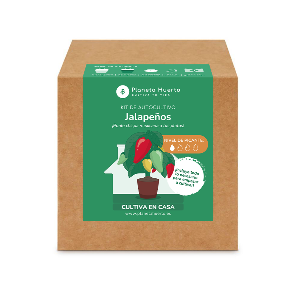 Kit de autocultivo Jalapeños Planeta Huerto