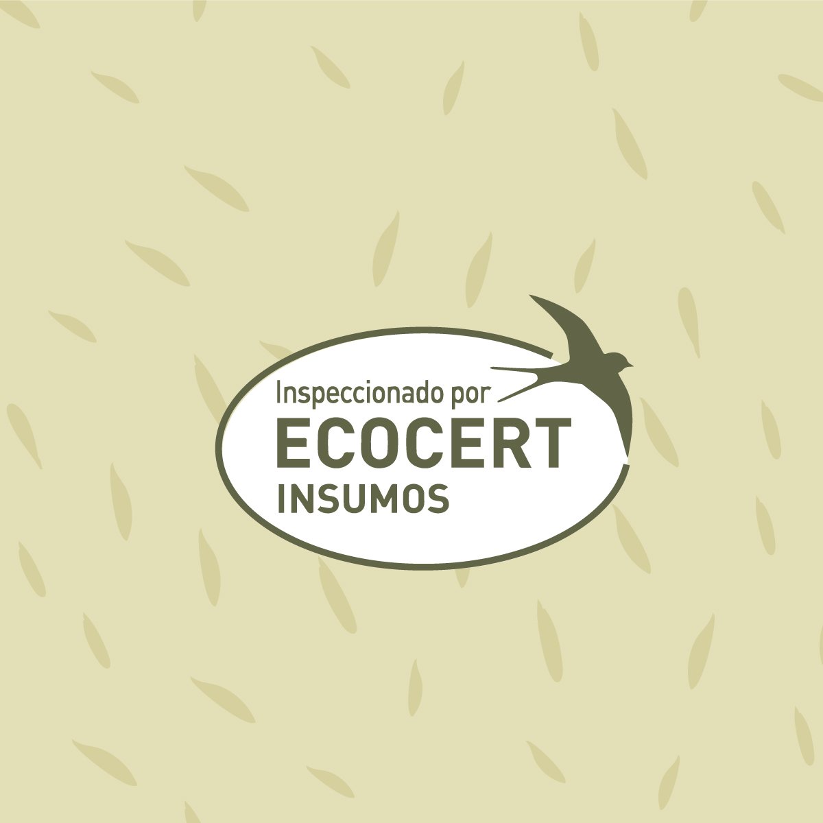 Harina De Sangre - 2x 1kg_5