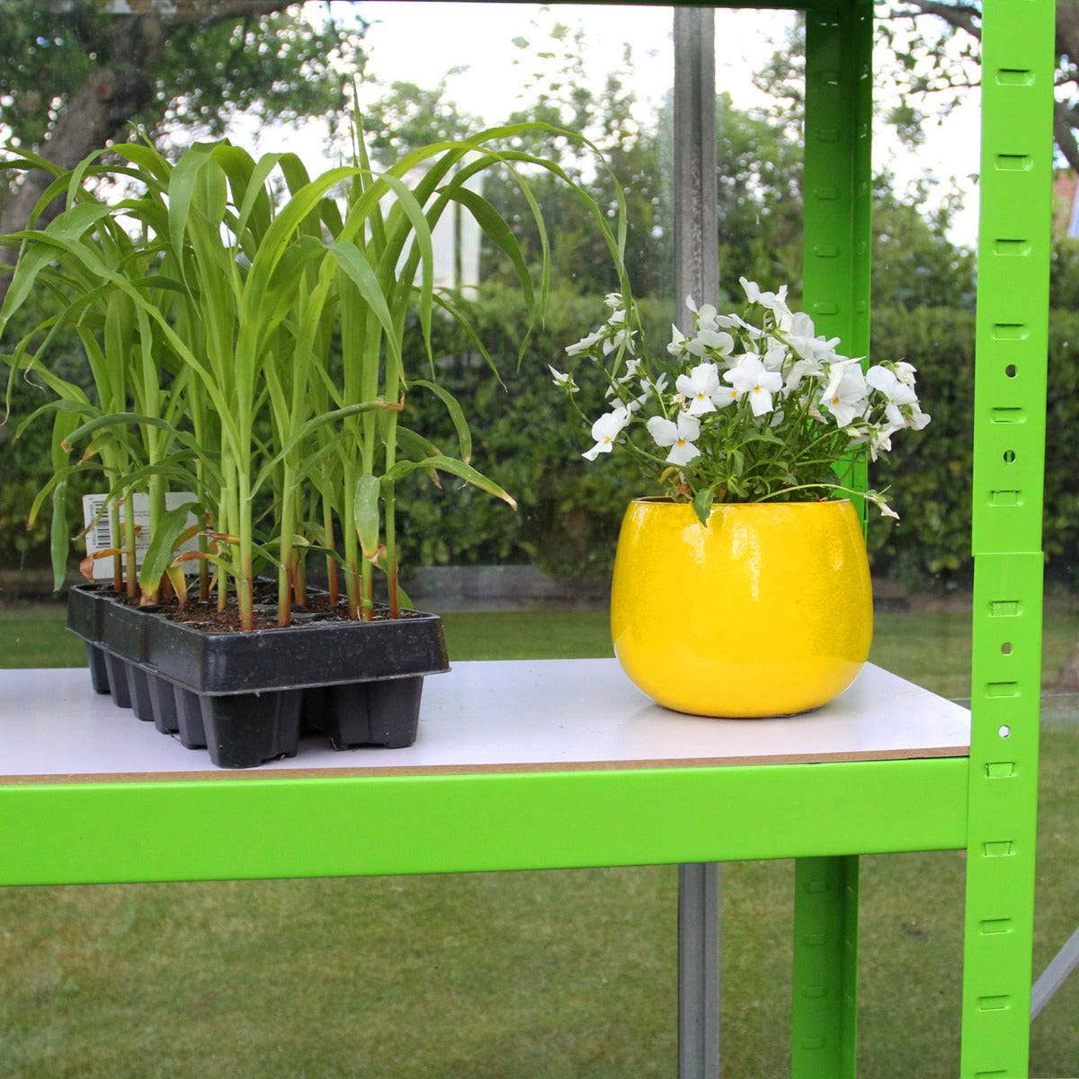 Invernadero Politúnel Con Estantería Galvanizada De Jardín Carpa De Cultivo 25mm 3 X 2m_1