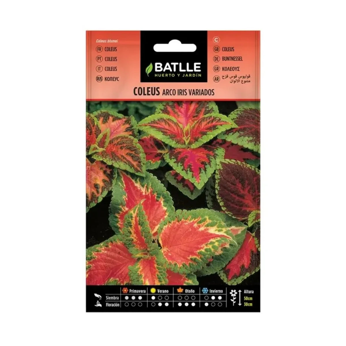 Semillas de Coleus arco iris variado Batlle