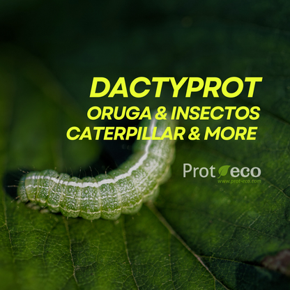 Dactyprot Prot-eco 100 Ml – Insecticida Ecológico Eficaz Contra Orugas, Cochinilla Y Otros Insectos_1