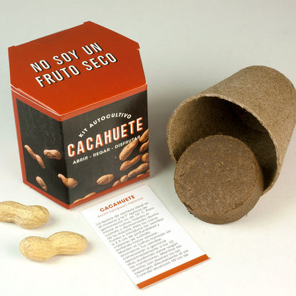 Kit Autocultivo Cacahuete | Cultiva tus Propios Peanuts en Casa | Regalo Divertido - Resetea_1