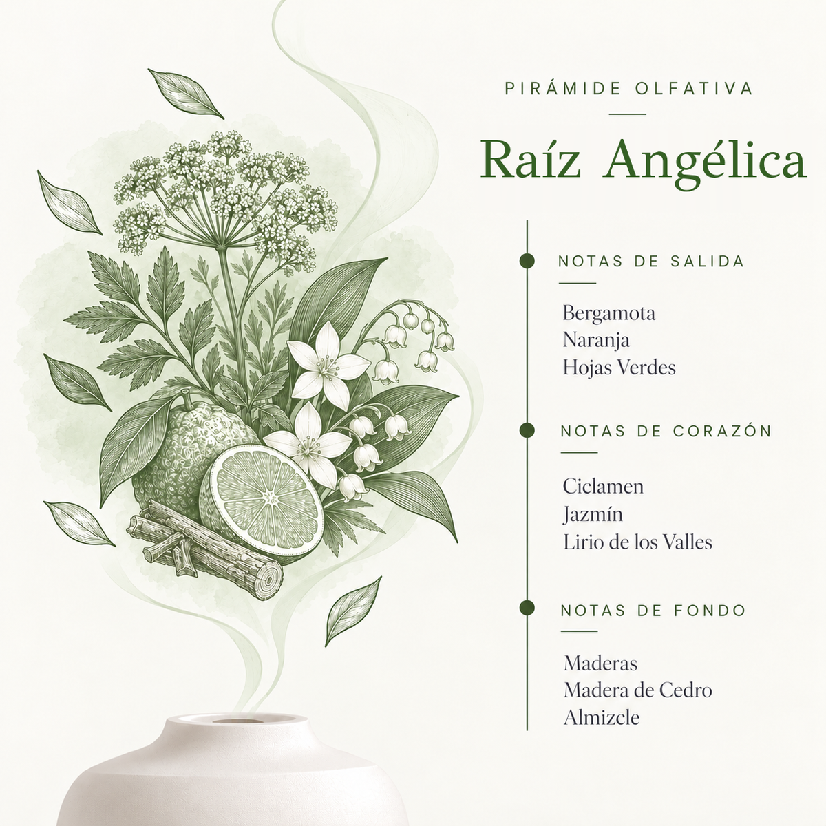 Esencia Hidrosoluble Raíz Angélica SYS Aromas 50 ml | Aroma Herbal y Balsámico | Para Humidificadores y Difusores_1