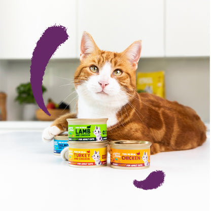 Comida húmeda gatos en salsa Trocitos de Salmón y Pollo Edgard &amp; Cooper 85 g