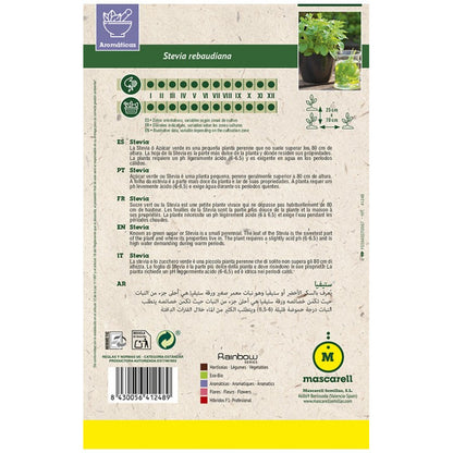 Semillas Stevia_1