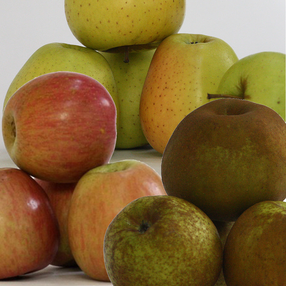 Caja Surtido Manzana Reineta, Fuji Y Golden. 10 Kg._0