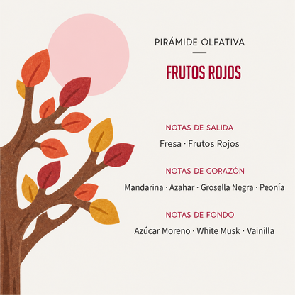 Ambientador Difusor Árbol Frutos Rojos Deco Diffuser SYS Aromas 90 ml | Afrutado y Dulce | Energizante_4
