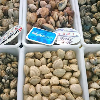6 Bandejas Uso Alimentario Con Tapa: 5,6l Sin Bpa's (38 X 28,4 X 7,5cm) - Cocinas, Restaurantes, Carnicerías, Catering_2