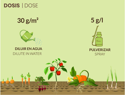 Cultivers Sulfato De Magnesio 2,5 Kg | Sustancia Mineral Hidrosoluble Para Jardinería Y Uso Técnico | Disolución En…_1