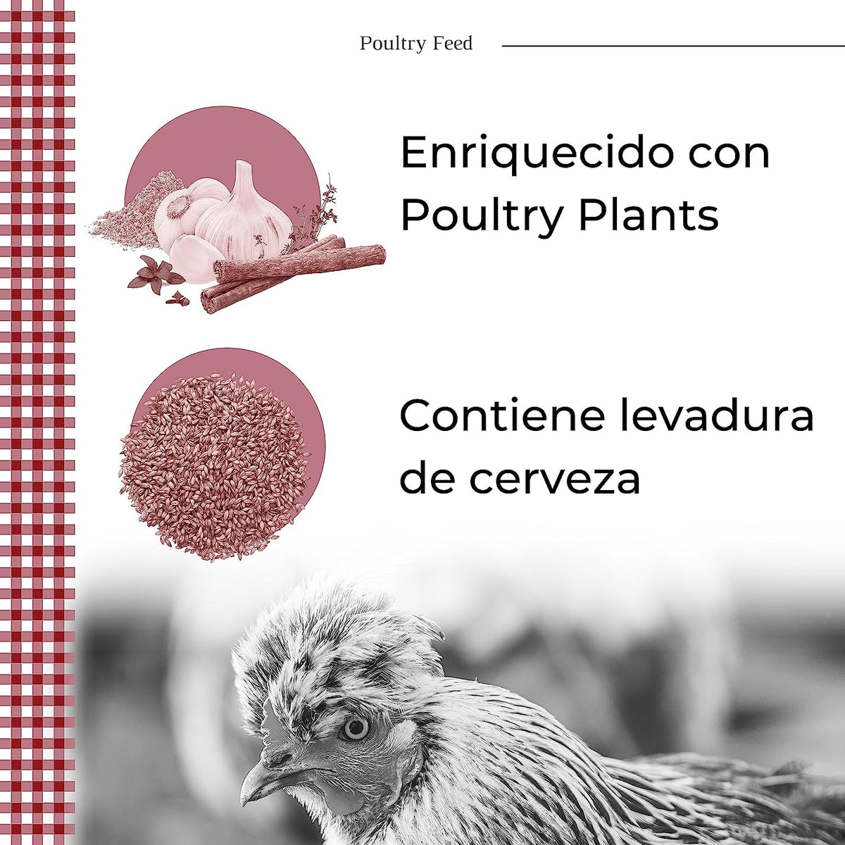 Pienso Para Gallinas Poultry Feed Puesta_1