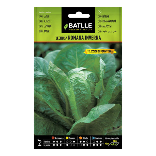Semillas de Lechuga Inverna sel. Super Inverna Batlle