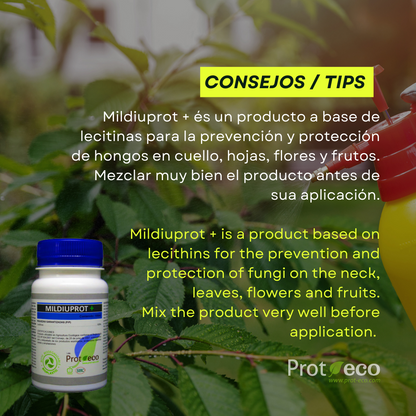 Tratamiento ecológico contra mildiu en plantas Mildiuprot Prot-eco 100 ml + pipeta dosificadora 5 ml gratis_2