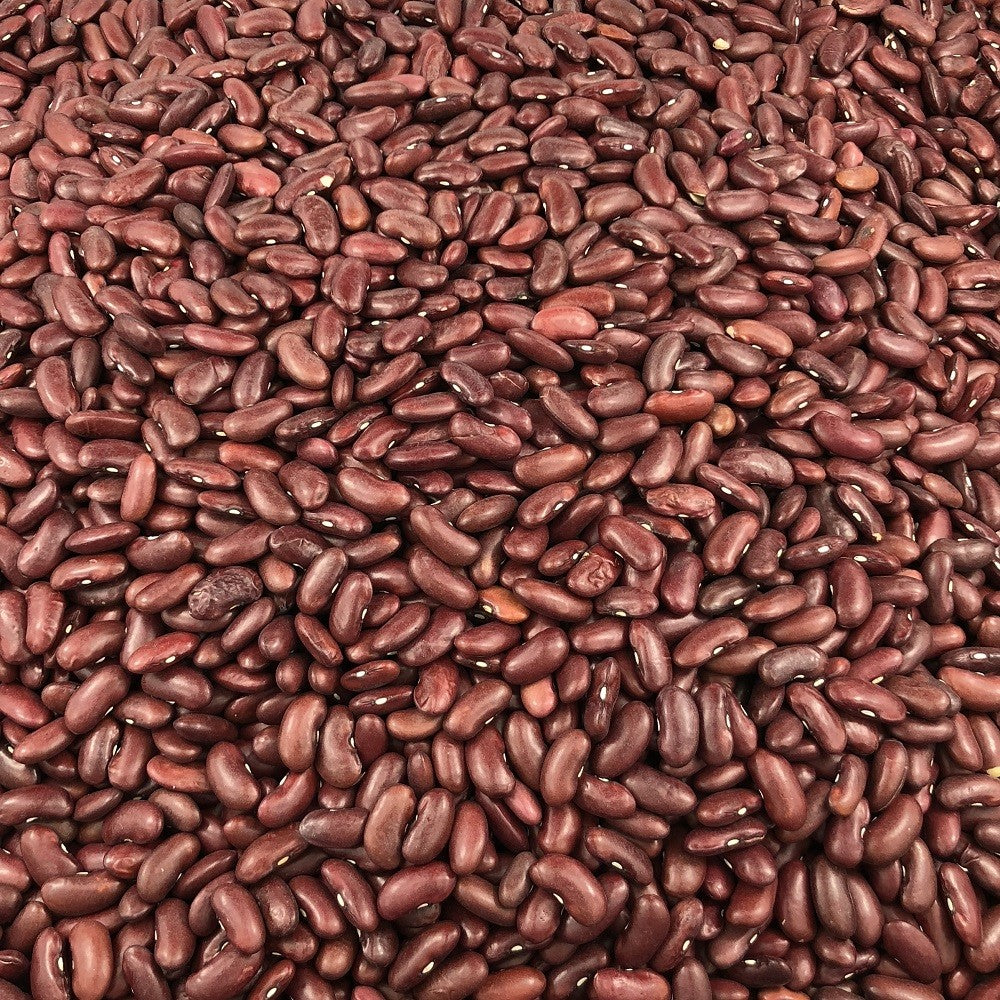 Frijol Rojo Ecológico Granel 5 Kg_2