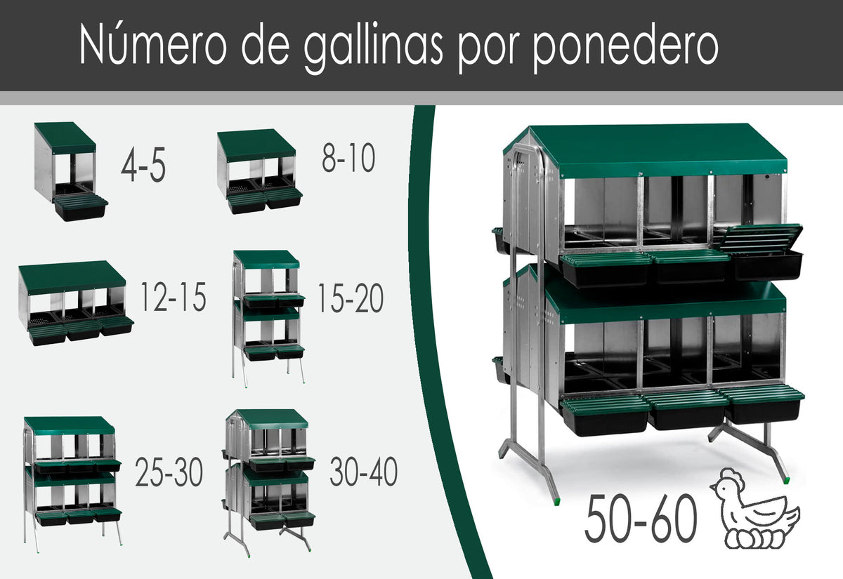 Ponedero Para Gallinas Con Cajón Escamoteador - 12 Huecos_1