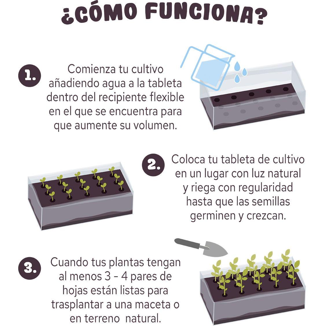 Tableta de cultivo Flores comestibles